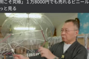 韓国人「日本の職人の18000円のビニール傘に韓国人も感動！」→「日本の伝統を維持する文化が凄過ぎる」　韓国の反応