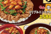 【朗報】すき家、とんでもないメニューを発売ｗｗｗｗｗｗｗｗｗ