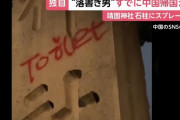 元航空幕僚長の田母神氏「なぜ日本政府は強硬な抗議をしないのか」…靖国神社落書き問題で！