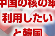 韓国政府「中国が韓国に核を配備すれば北朝鮮に対抗可能」　意味不明すぎるだろ…