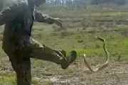 【動画】何度蹴飛ばしても襲ってくるヘビと戦うおっさん。