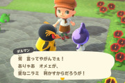 【たぐいのほのぼの島日記】島で起こる住民たちのあれこれ、痴話喧嘩編【あつ森】