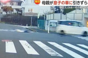 【悲報】車に犬だけ乗せて発進→リードを持った母親が引き摺られる