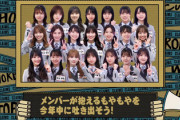 【日向坂46】『ひなあい』惜しくも本編に入らなかった話題が気になりすぎるw