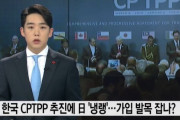 【悲報】韓国人「日本が韓国に冷酷な態度！」韓国のCPTPP推進に日本が足を引っ張るのか？　韓国の反応　