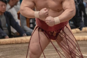 【画像】力士、ムキムキだったｗｗｗｗｗｗｗｗｗｗ