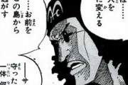 【ONEPIECE -ワンピース】青キジ「細かく素性を辿れば骨のある一味だ」←これマジ？？？