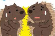 【画像】心理学者「ヤマアラシは身を寄せあうと互いを傷つけてしまうので〜」　ヤマアラシ「……」