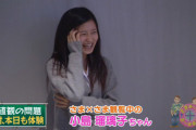 【画像】小島瑠璃子さん、驚愕の素顔をご覧くださいｗ