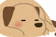 【ほのぼの】犬飼ってると眠る前どんな感じ？