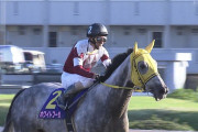 【競馬】ホワイトフーガが引退。交流重賞７勝 来春繁殖に備える