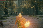 エルデンリング→SEKIRO→ブラボの順でプレイしました