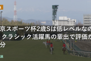 東京スポーツ杯2歳Sは低レベルなのか クラシック活躍馬の輩出で評価が二分