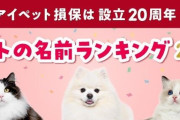 犬・猫ともに「むぎ」が1位に！ペットの名前ランキング2024