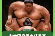 【一覧】大関・横綱の身長と体重を比較してみた