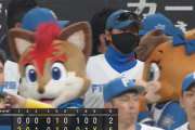 日本ハムファイターズやっと勝つ！！！！！！