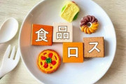 【食品ロス問題】厚労省、『重大発表』キタァアアアーーーーー！！！！！