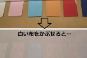 【大悲報】NMBの中学生メンバー岡本怜奈が衝撃告白！ 「学校の校則で下着の色が決まっていて、時々だけど下着の色チェックもある。」