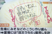 阪神さん小学生に回文で馬鹿にされる