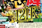 佐藤輝明(神).267 20本 52打点 OPS.833←コイツに対する率直な感想