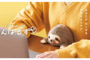 日本の猫背な動物のぬいぐるみ「ふんばるず」が可愛すぎる！【タイ人の反応】