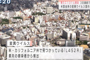 【悲報】「L452R」インド変異株は日本人の免疫が効きにくくなることが判明