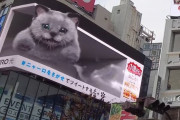外国人「あの日本の巨大3D猫、またしても進化してしまう！」