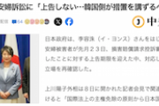 【冷やし韓国】日本政府「慰安婦訴訟？上告しねーから韓国側で勝手にケリつけろや（意訳）」