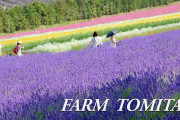 海外「楽園のよう！日本人は幸運だね！ゴージャスな国」北海道のラベンダー畑が美しいと話題に（海外の反応）