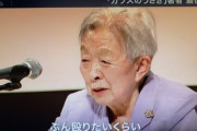 反戦運動家「戦争は怖い！戦争はダメ！だから、戦争発言した議員をぶん殴りたい！」
