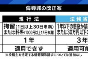 【悲報】アメリカ「我が国には侮辱罪という概念がない」捜査協力を拒否