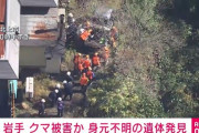 【続報】岩手・北上市で身元不明の遺体発見　クマに襲われた従業員か