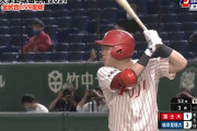 西武ドラフト３位 山城響(富士大) ←ありそう