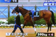 ミモザ賞のミュアウッズとかいう牝馬の馬体重が５９０キロｗｗｗｗｗ