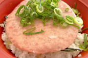 【画像】すき家のマグロたたき丼、チンした結果www