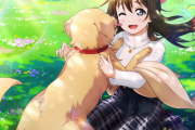 犬になったら誰に拾われたい？【ラブライブ】