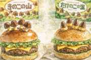 マクドナルド「きのこの山とたけのこの里」マックフルーリー、史上初“きのこたけのこ”同時使用スイーツ