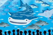 DMMかりゆし水族館「この水族館、フツーじゃない！」