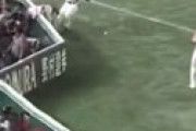 【動画】「WBC」 ファールボールを身を乗り出して取ろうとした迷惑客、このせいで大谷の失点を招いたと大炎上