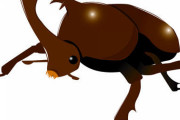 【画像あり】玄関にカブトムシいてワロタｗｗｗｗｗｗｗｗ