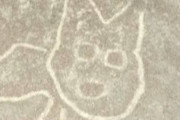 新たなナスカの地上絵『古代ネコ』見つかる！！これはどう見てもネコ