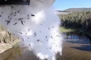 飛行機から落とされる何万匹もの魚！ユタ州で行われるエアドロップ放流の様子。