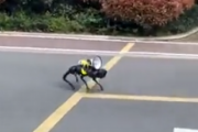 【中共ロボ】上海でロボットがロックダウン見回り中