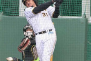 阪神・ロハス&マルテの両助っ人がランチ特打　柵越え連発で上々スタート