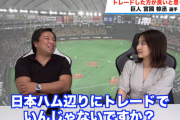 【悲報】里崎「巨人は宮國を日ハムにトレードで出しなさい」