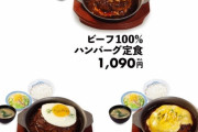 【悲報】松屋の定食