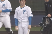 日本ハム谷内亮太コーチが有能すぎると話題に