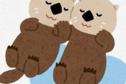 カワウソさん、あざとすぎる