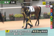 【土曜阪神5R新馬戦】注目馬のカルロット登場(´・ω・`)
