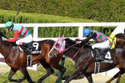 【競馬】WIN5、史上最高配当で初の5億超え！的中はわずか1票